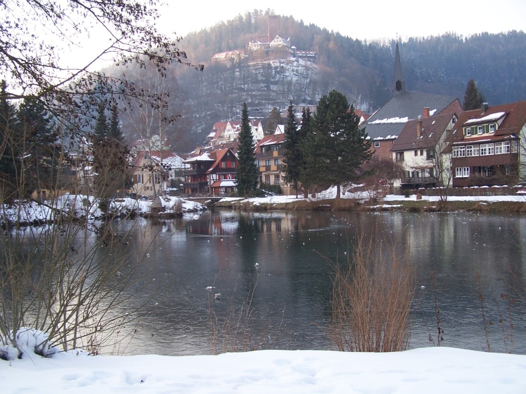 Der Stadtsee in Bad Liebenzell im Winter
